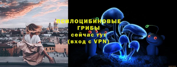 дживик Алексин