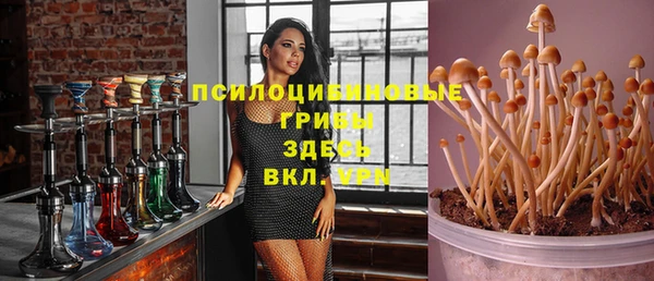 метадон Абаза