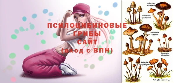 дживик Алексин
